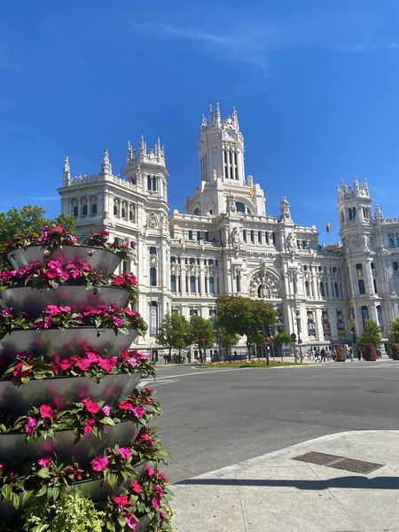 MADRID - SPAGNA preview 2